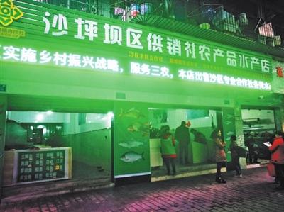 打通農產(chǎn)品流通最后一公里——沙區(qū)供銷社農產(chǎn)品水產(chǎn)、花卉店正式開業(yè)